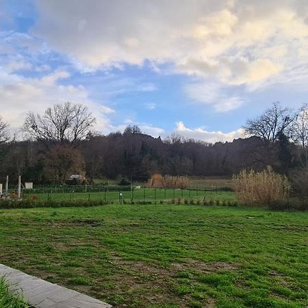 Villa Azzurra Immersa Nel Verde Tra Firenze, Arezzo E Siena Terranuova Bracciolini Eksteriør bilde